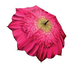 Gerbera Daisy Folding Umbrella (gift boxed)